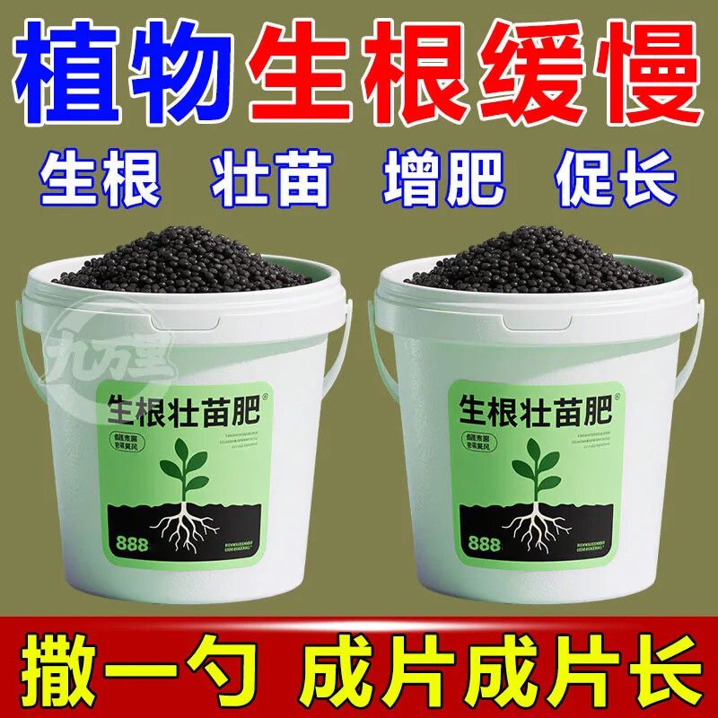 强力生根肥促进生根壮苗提高增产