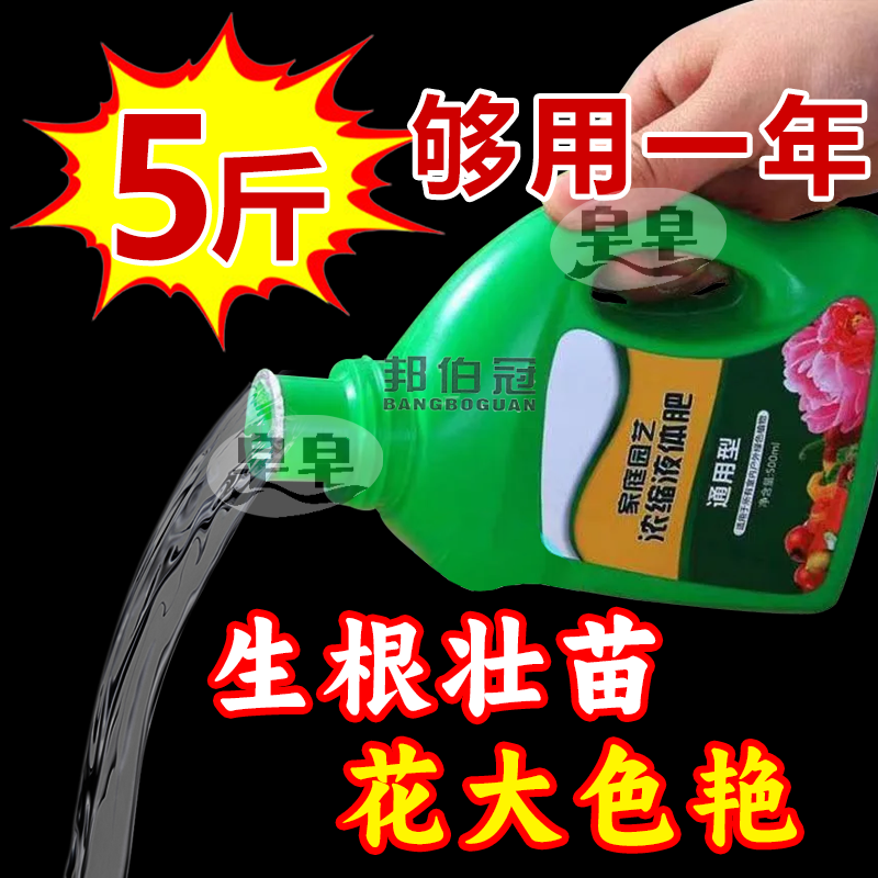 养花营养液通用浓缩型绿箩植物水培水养观音竹富贵竹土养发财树肥