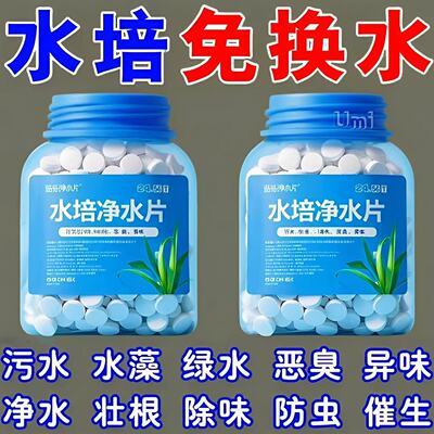 水培植物净水片除臭杀菌净化水质