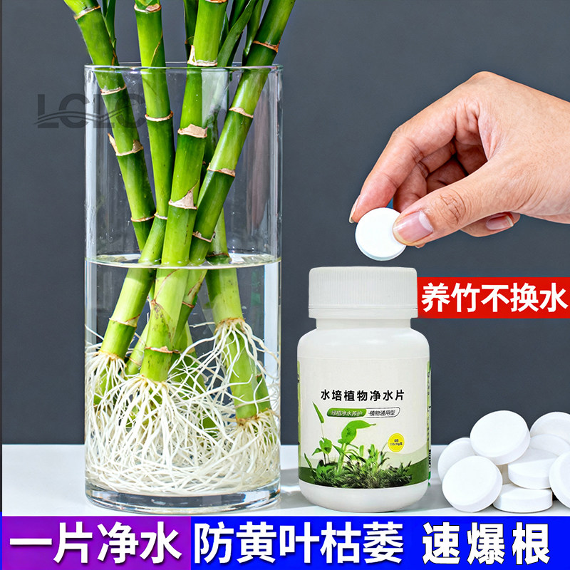 水培植物增氧片净水片营养片防臭水促生根浑水水培花卉通用净水片,鲜花速递/花卉仿真/绿植园艺,家庭园艺肥料,淘宝优惠券,粉丝福利购,淘宝优惠卷