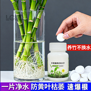 水培净水片【改善水质除臭祛味】