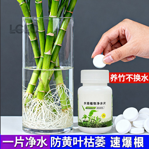 水培净水片【改善水质除臭祛味】