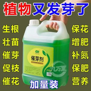 【芽喷哪长哪】植物催芽剂老桩促发芽月季三角梅发财树优芽素通用