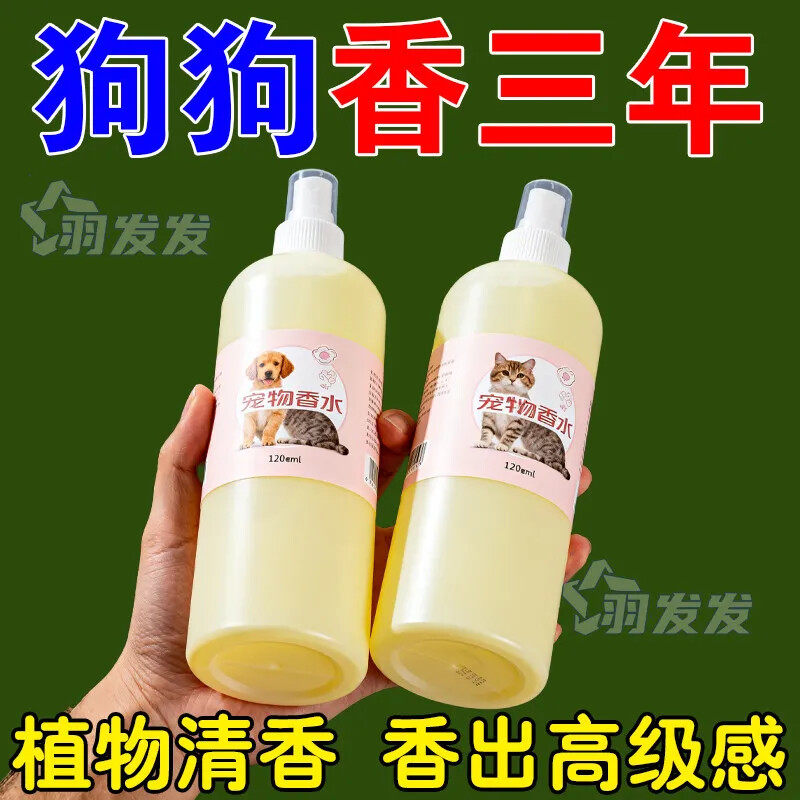 一喷香】泰迪丨比熊丨法斗丨柯基