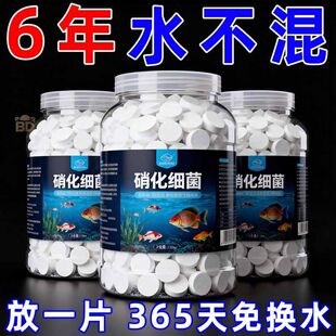 超浓缩鱼缸硝化细菌去除鱼缸异味净化水质去腥味鱼缸鱼缸净水剂