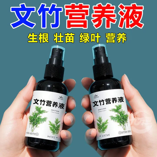 免稀释营养液文竹专用预防叶发黄