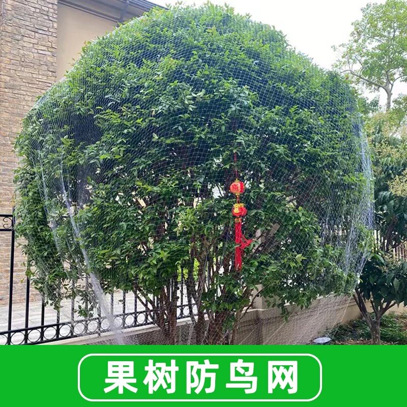 果树家用单颗防鸟网樱桃枇杷嘉宝