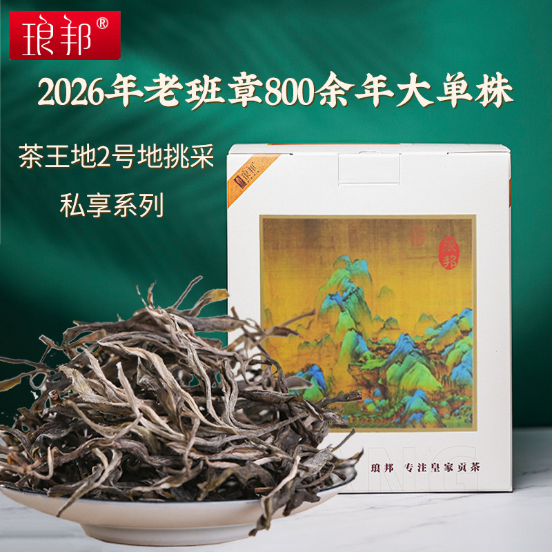 琅邦2026年老班章800余年大单株茶王地2号地挑采大单株(私享)