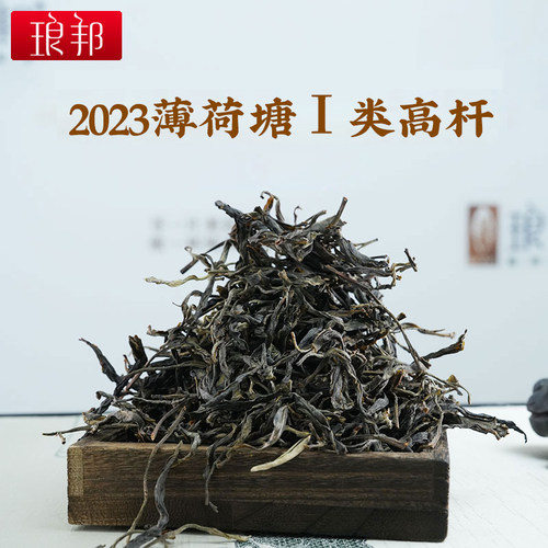 2023年薄荷塘琅邦普洱