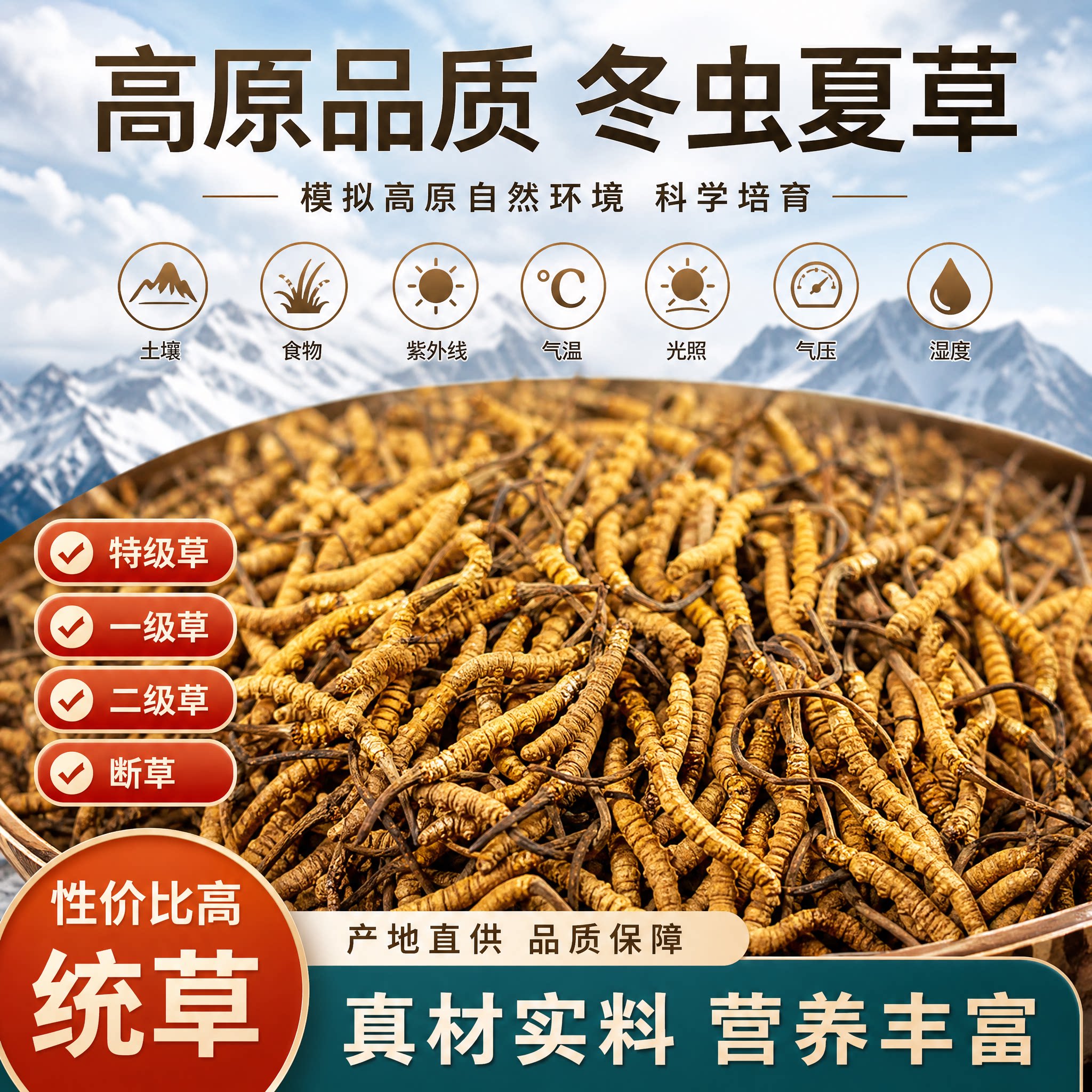 藏仙冬虫夏草统草未分拣干草