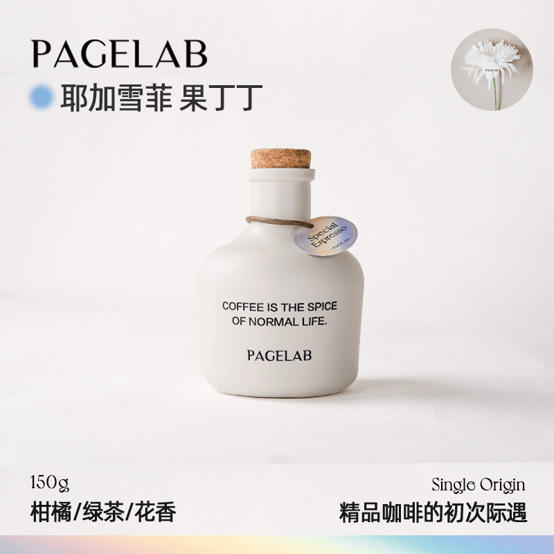 PAGELAB佩植耶加雪菲果丁丁SOE水洗手冲精品咖啡豆埃塞俄比亚150g