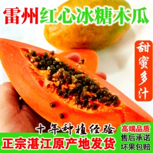 雷州冰糖红心木瓜5斤当季青皮现摘牛奶新鲜水果整箱包邮树上熟10