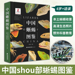 中国蜥蜴图鉴收录中国境内多种蜥蜴详细呈现其外形特征栖息环境与生活习性配图清晰易辨识准确认知不同蜥蜴种类了解蜥蜴知识 需求