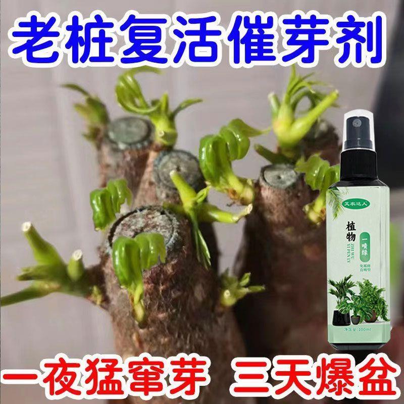 爆芽王】老桩催芽剂液体促芽僵苗无机肥