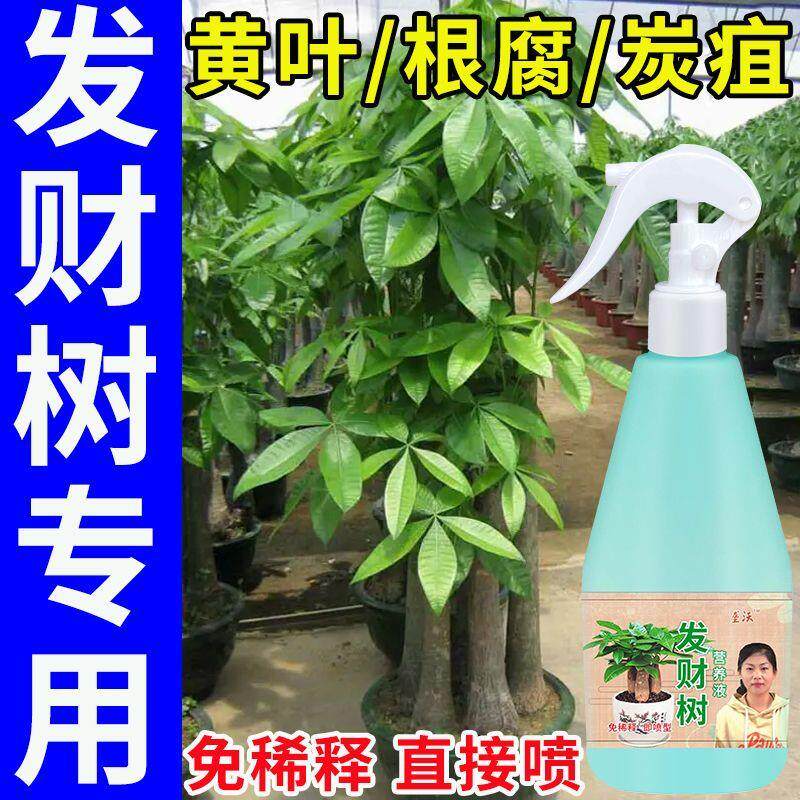 发财树幸福树通用一喷绿叶面肥