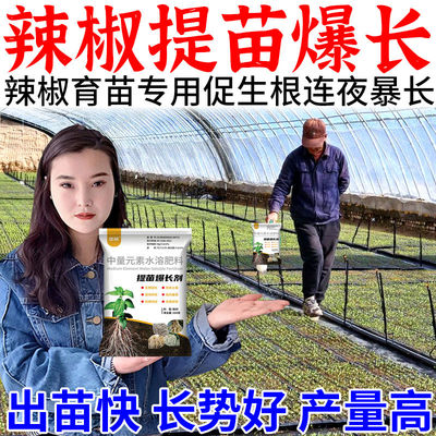辣椒提苗爆长生根剂壮促猛