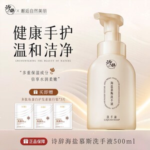 诗辞海盐慕斯洗手液l泡泡型留香清洁护手大容量家庭装洗手液