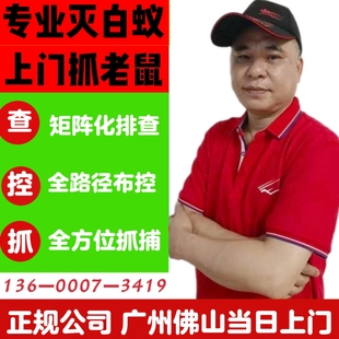 广州佛山专业上门灭白蚁预防治抓老鼠灭鼠捕鼠捉鼠杀蟑螂跳蚤臭虫