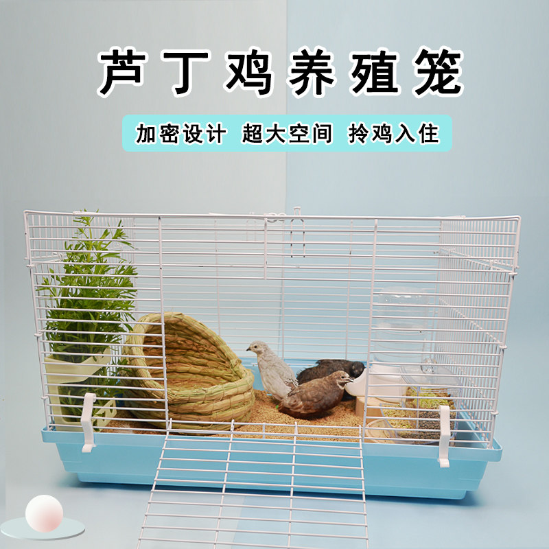 芦丁鸡笼子专用饲养箱小鸡雏鸡家用养殖笼卢丁鸡房子窝宠物全套