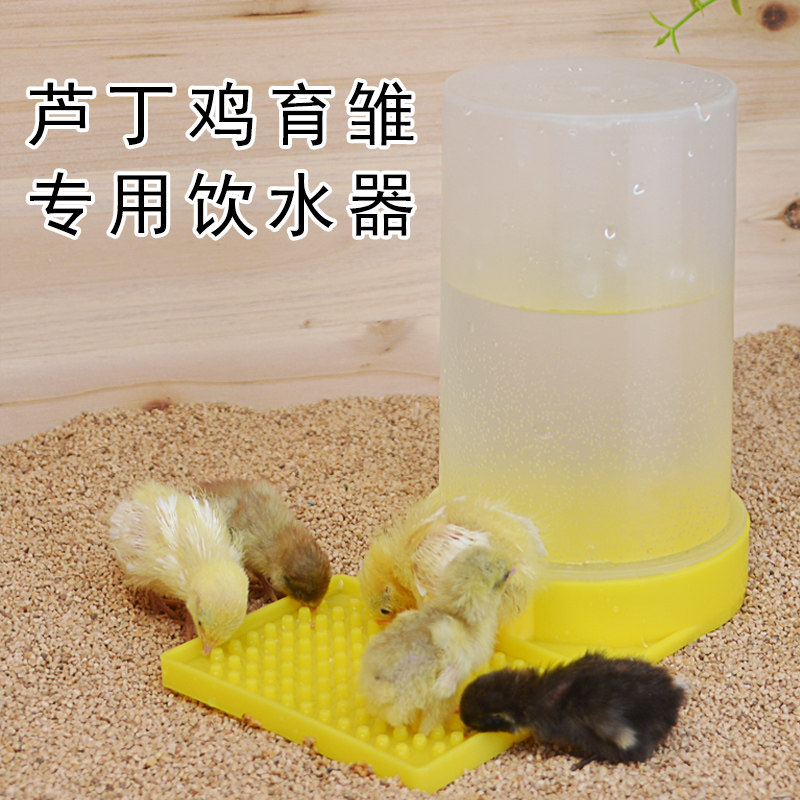 鸡用自动饮水器芦丁鸡喂食器育雏幼鸡水壶喂水喝水神器卢丁鸡食盒