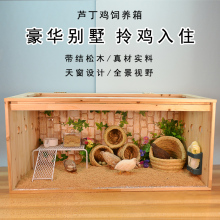 芦丁鸡饲养箱宠物幼鸡育雏鸡窝笼子专用养殖全套造景恒温箱子卢丁