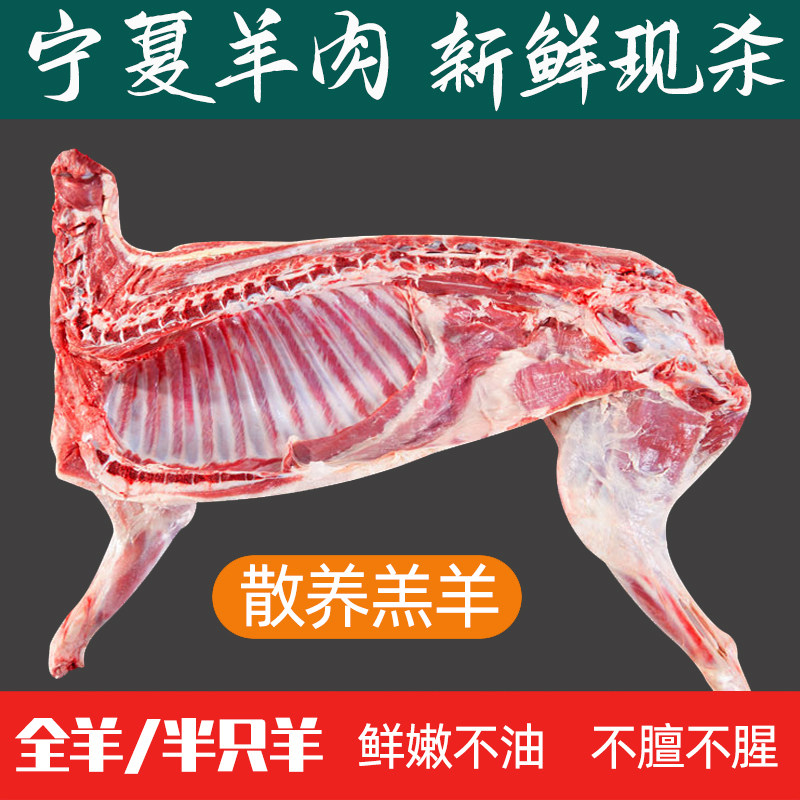 宁夏滩羊整只精选新鲜现宰生羊肉散养小羔羊烧烤食材放养滩羊肉