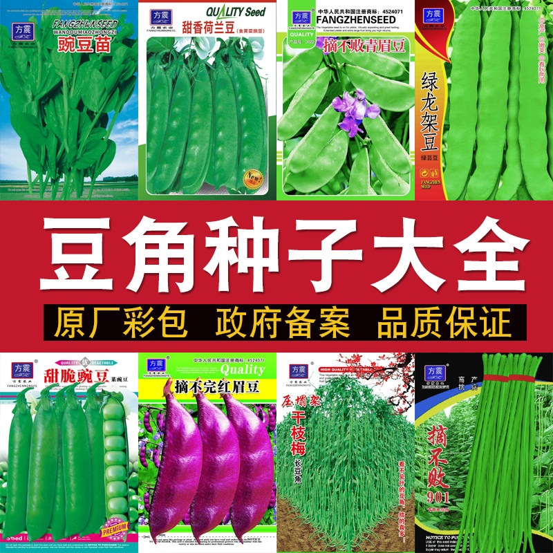 四季豆角种子大全豇豆豌豆荷兰豆扁豆长豆角红花四季豆芸豆种孑籽