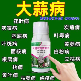 大蒜病菌清杀菌剂大葱大蒜黄叶干尖防治药白斑病锈病软腐病正品药