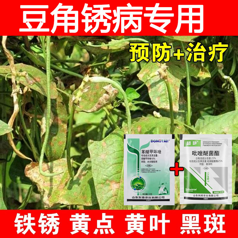 豆角锈病黑星病专用药果树梨树月季黑斑叶斑病铁锈病农药杀菌剂