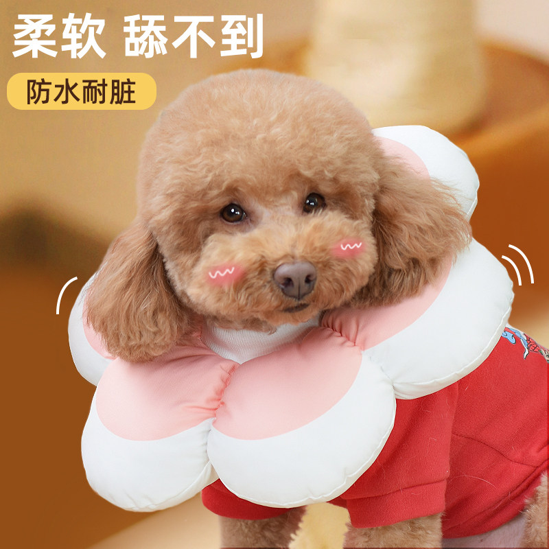 伊丽莎白圈狗伊利沙白中型犬狗狗项圈夏季防咬防舔软脖套头套神器