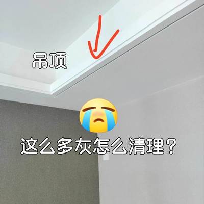 鸡毛掸子静电除尘天花板吊顶清洁神器扫灰家用伸缩杆打扫灰尘缝隙