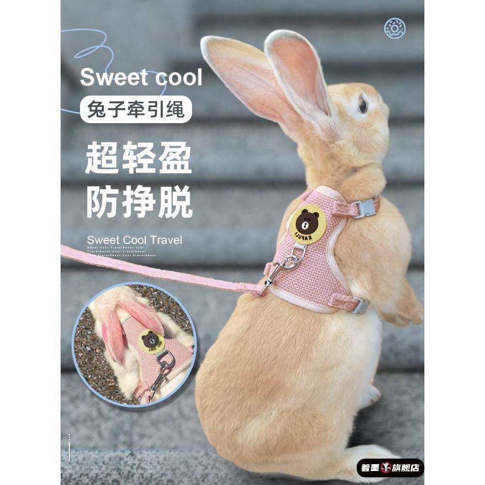 兔子专用牵引绳防挣脱溜兔防挣脱遛绳子宠物小白侏儒兔外出绳用品,宠物/宠物食品及用品,兔绳,淘宝优惠券,粉丝福利购,淘宝优惠卷