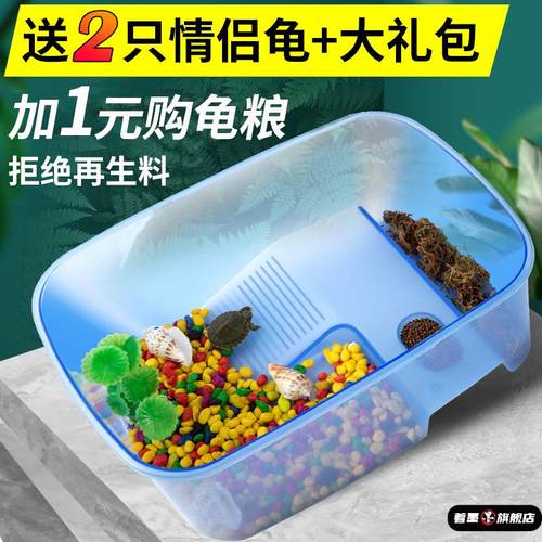 养乌龟的容器螃蟹蜗牛宠物箱家用草龟别墅小