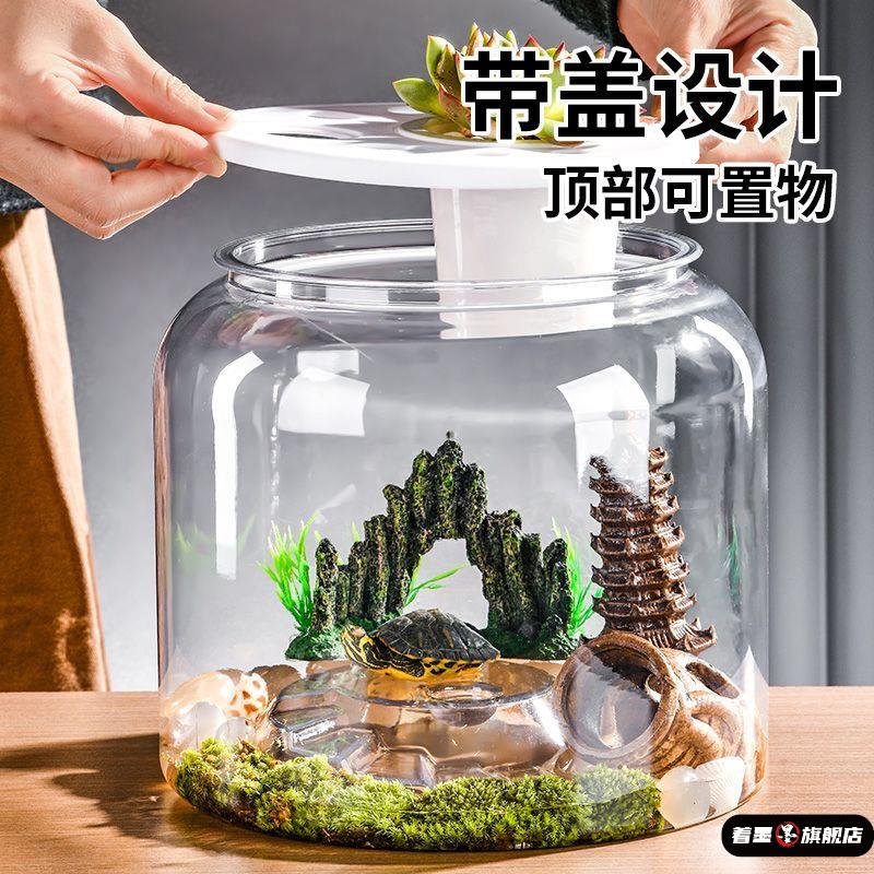 造景乌龟缸养乌龟专用生态缸大小型巴西龟水陆循环家用鱼缸带晒台