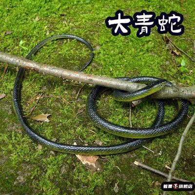 著墨塑胶1.23米真大青蛇玩具纹路