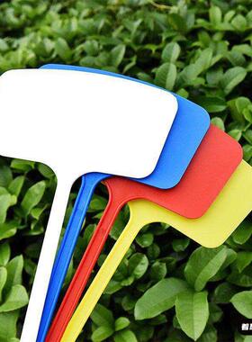 面园艺插地牌，加面标签，大田插地牌多肉标签标识牌插牌大牌面大号黄色白色多肉种植地插牌塑料大田标识牌