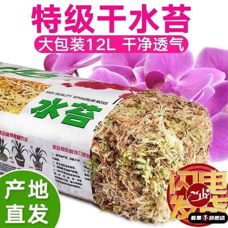 优质干水苔蝴蝶兰专用青苔兰花石斛猪笼草土苔藓鱼缸乌龟垫料花盆