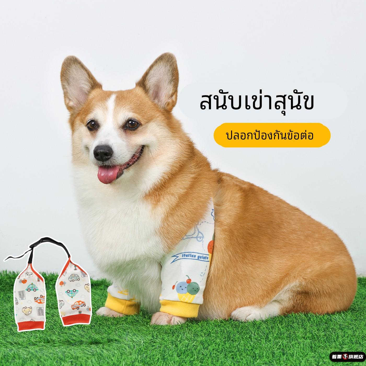 狗狗护肘关节套宠物护膝柯基柴犬关节衣袖套四季通用衣服防脏神器