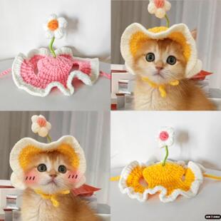 猫咪露耳朵针织帽子可爱宠物头套狗狗编织变装道具头饰搞笑手工帽