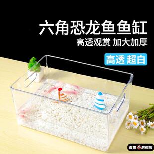 德国六角恐龙专用缸蝾螈饲养缸生态躲避屋塑料亚克力鱼缸一体成型