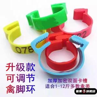 鸡脚鸡环卡式用扣鹅脚环圈脚记号识别环鸡鸭禽类脚环家脚圈标签