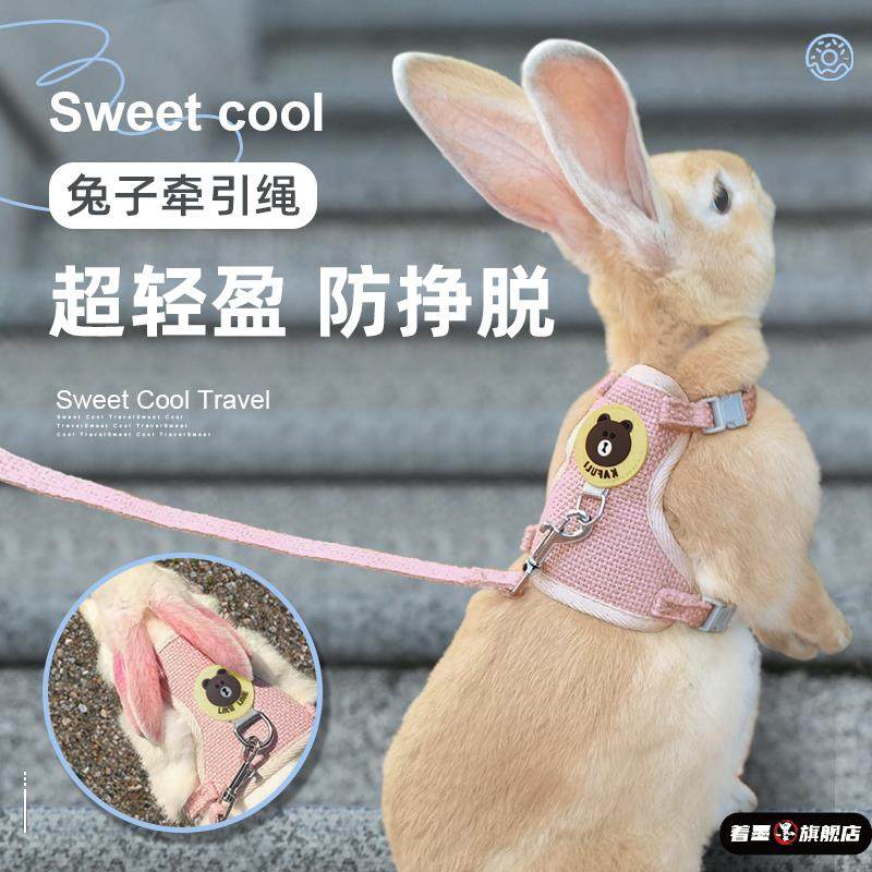 兔子专用牵引绳防挣脱溜兔防挣脱遛绳子宠物小白侏儒兔外出绳用品,宠物/宠物食品及用品,兔绳,淘宝优惠券,粉丝福利购,淘宝优惠卷