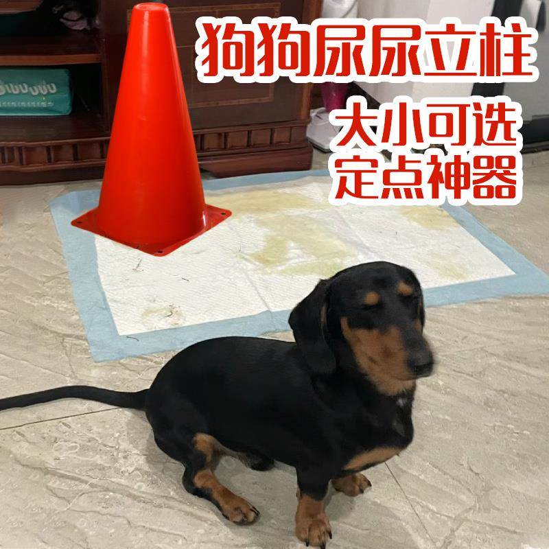 天猫优质好物/收藏加购=优先发货