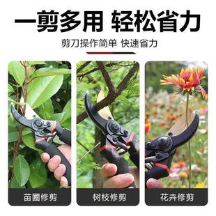德国进口强力省力树枝剪修枝剪刀粗枝剪果树园林园艺剪葡萄盆栽剪