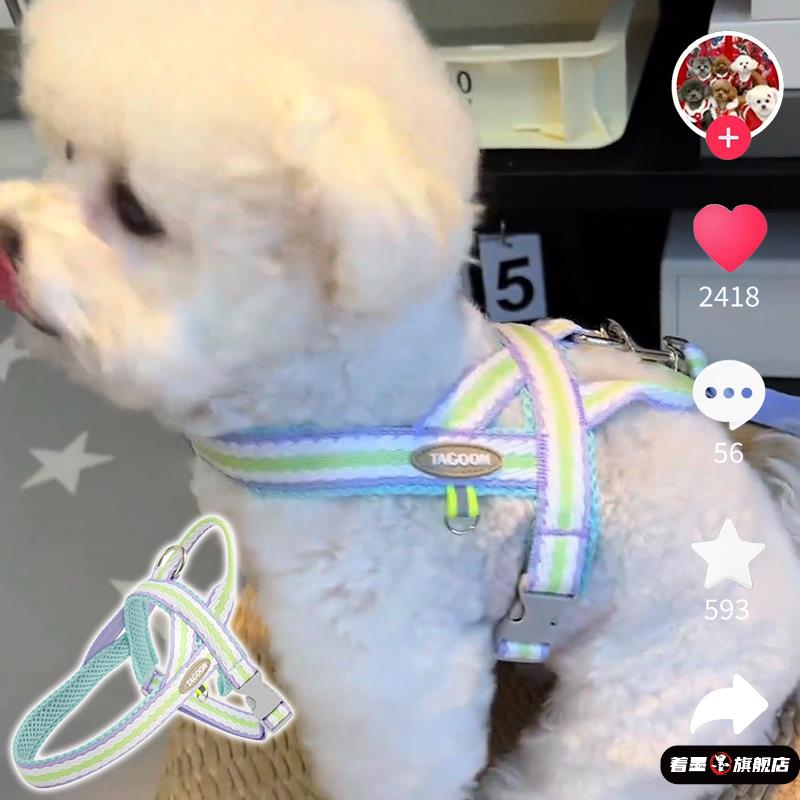 网红狗狗牵引绳中小型犬比熊背心式遛狗绳泰