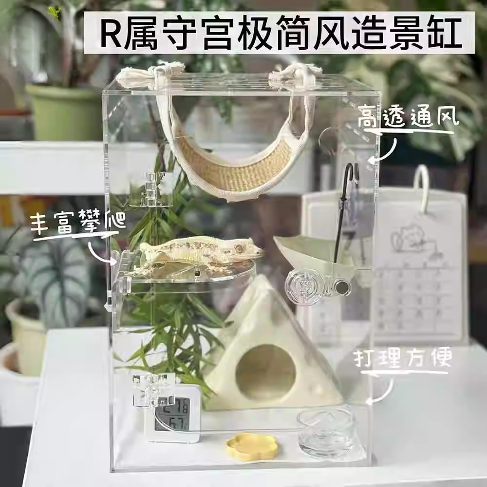 爬宠亚克力透明饲养盒雪鱼造景缸睫角守宫in