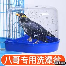 鹦鹉洗澡盆八哥专用神器特大号虎皮玄凤鸟用洗澡盒外内挂用品大全