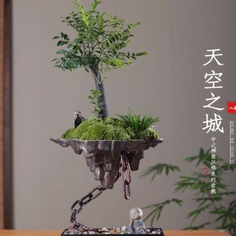新品天空之城小叶紫檀q黑骨茶苔藓禅意绿植盆景栽办公室内书桌面