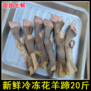 新鲜冷冻花羊蹄黑山羊蹄子20斤整箱商用生羊蹄脚红烧卤味食材5斤