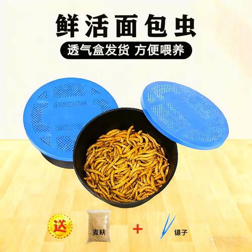 鲜活面包活体活虫黄粉虫八哥龙鱼蝎子蜥蜴饲料仓鼠画眉乌龟石蛙